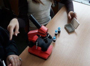 Obserwacje mikroskopowe