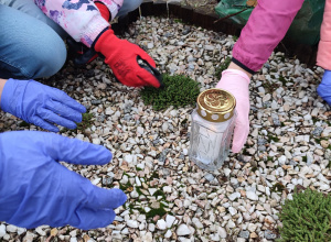 Światełko Pamięci