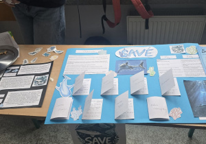 Stoisko organizacji: Save - ratuje rekiny.