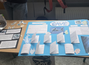 Organizacje pozarządowe uczniów klas ósmych.