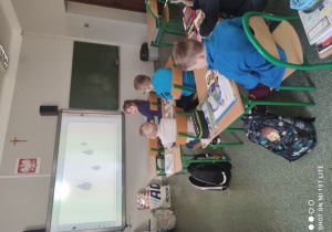Zdjęcie 6 na 8