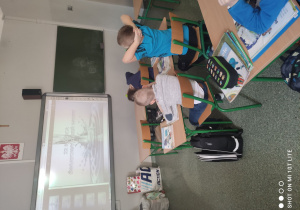Zdjęcie 7 na 8